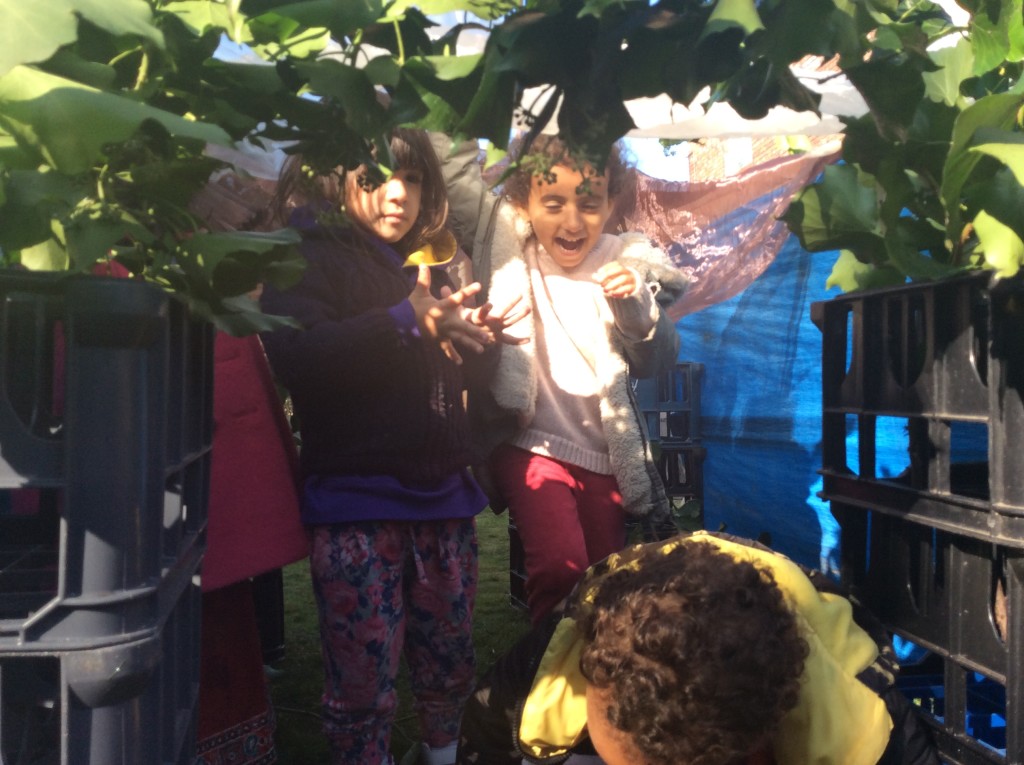 Forest School Play. Making Dens out of natural materials.