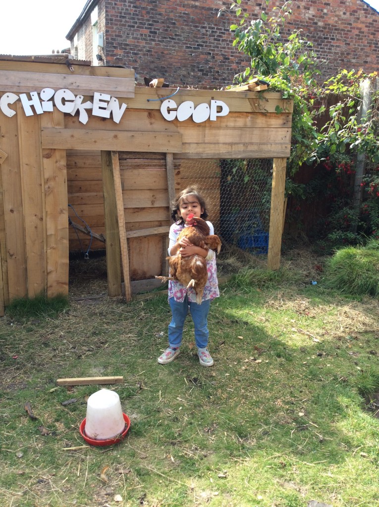 I am now brave enough to hold our chickens