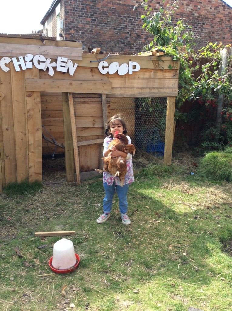 I am now brave enough to hold our chickens