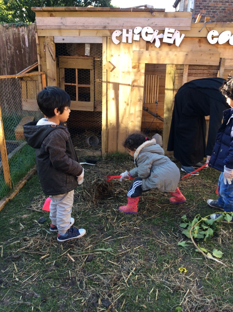 Cleaning out the area for our chickens.