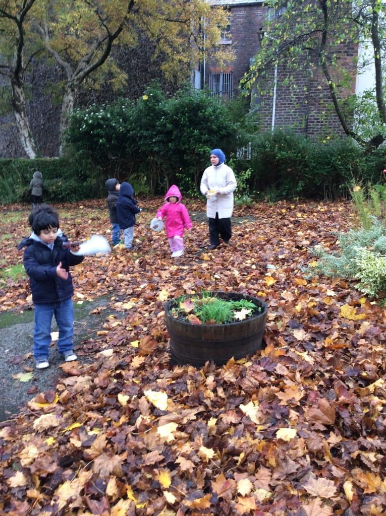 A Nature walk in one of our local green spaces.