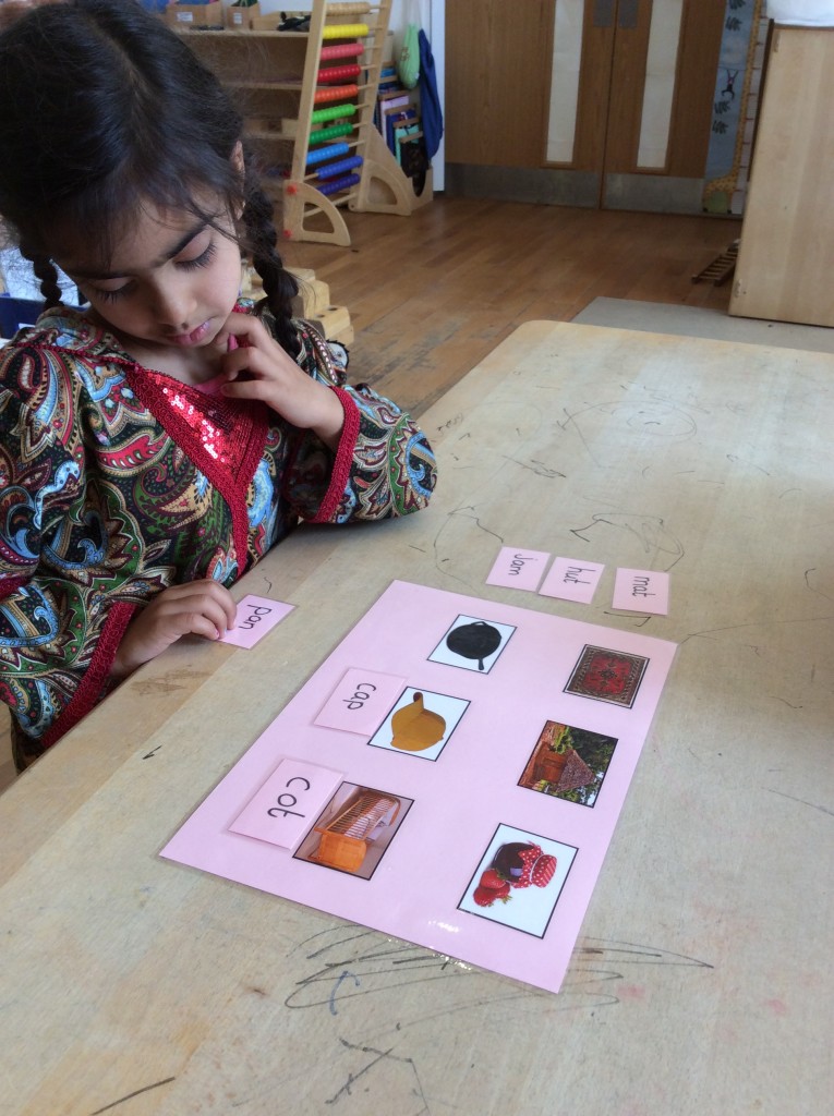 Large Pink Cards