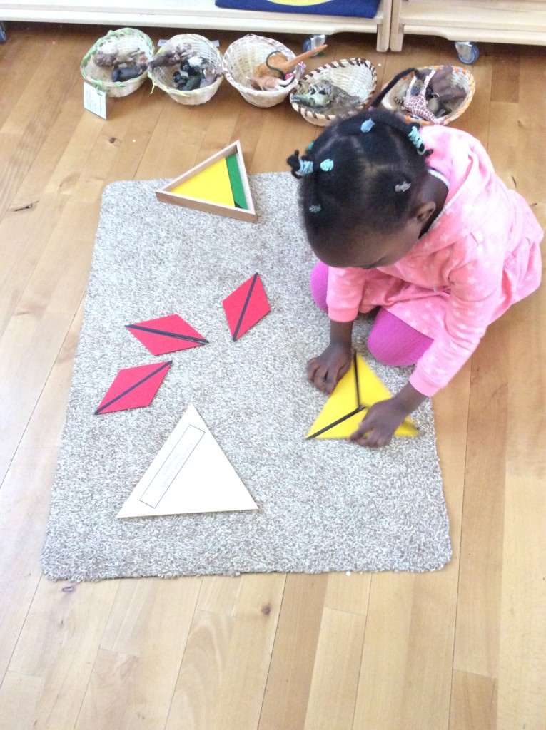 Working with the Constructive Triangles.