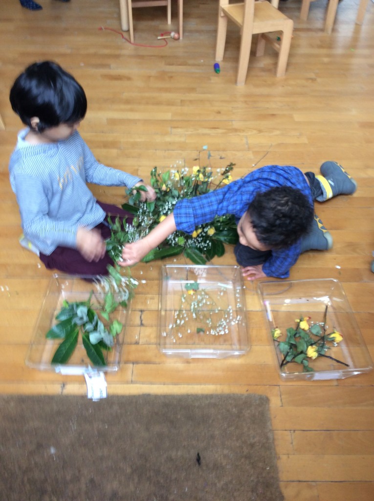 Sorting dried leaves, flowers and roses from a bunch of flowers given to the nursery. These will now go on our nature table.